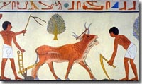 Egyptian Plow and Hoe